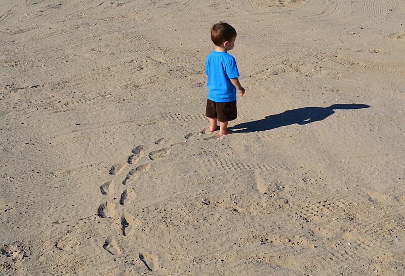 Tracks in the sand